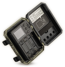 Vista posteriore della Wachman Mini Trail Camera che mostra il display e i controlli